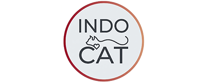 IndonesianCat